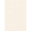 Imagen de Cerámica para piso y pared Sierra Marfil 34x51 cm Mate Antideslizante