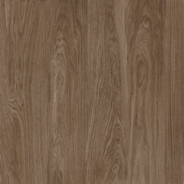 Imagen de Cerámica para piso Canela Es 81x81 cm Mate y Rectificado